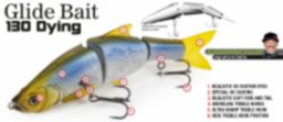 Glide-Bait-130-Dying.jpg